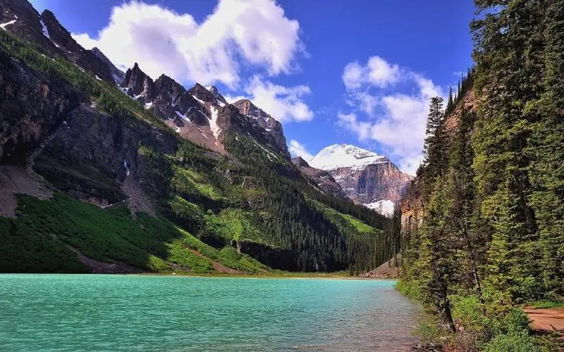 节能绿色工业